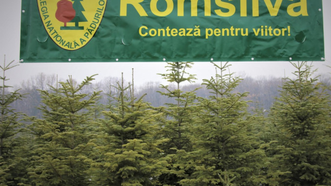 romsilva (1)