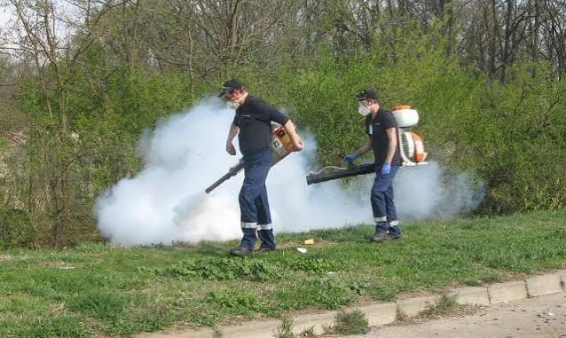 DEZINSECTIE